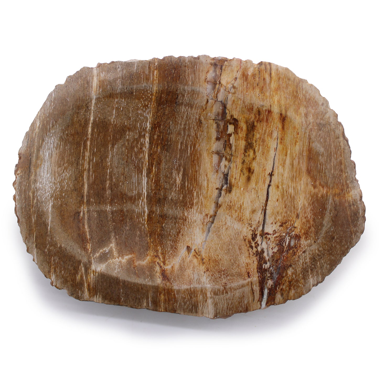 Versteend hout zeep bakje