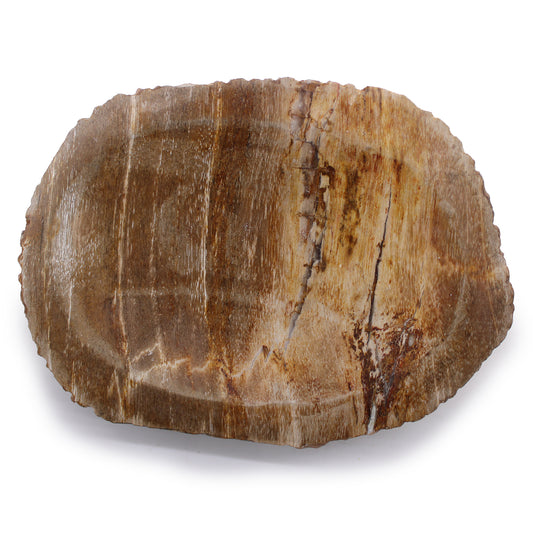Versteend hout zeep bakje