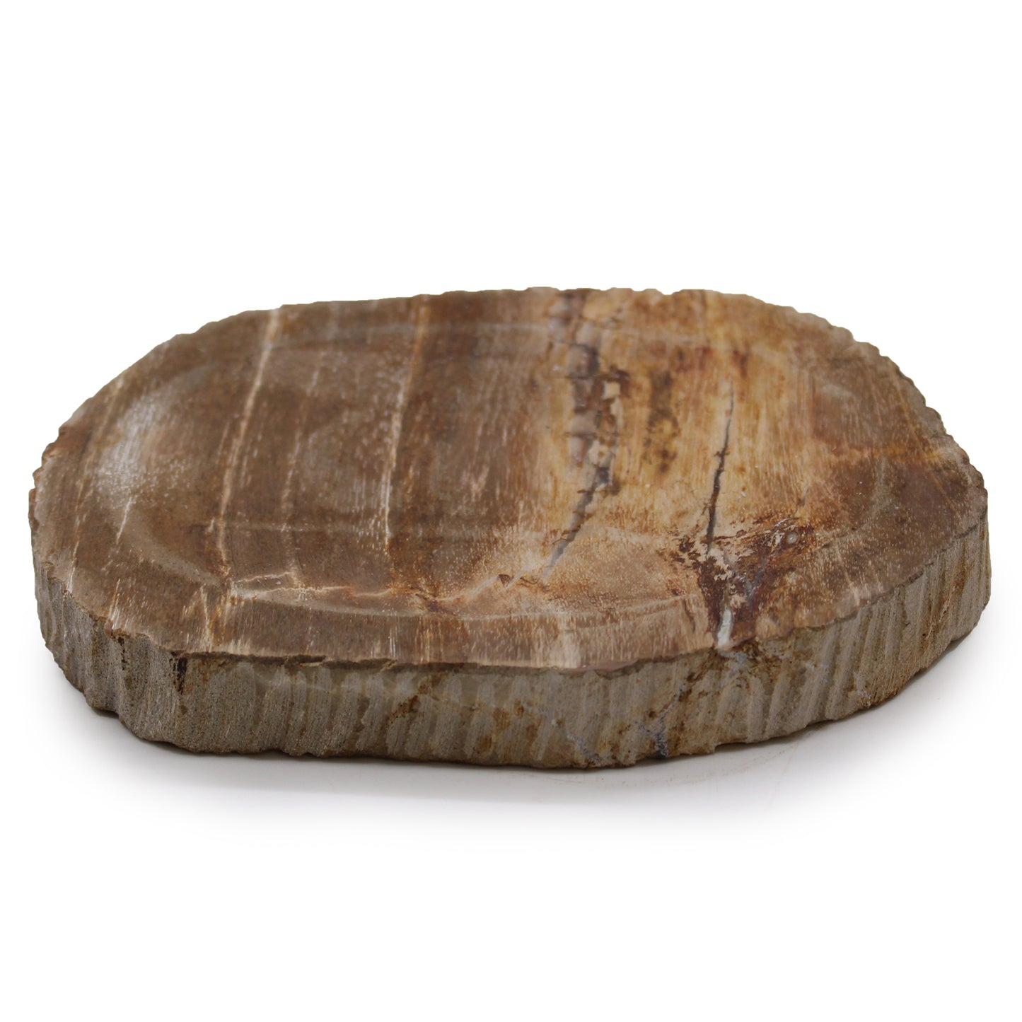 Versteend hout zeep bakje