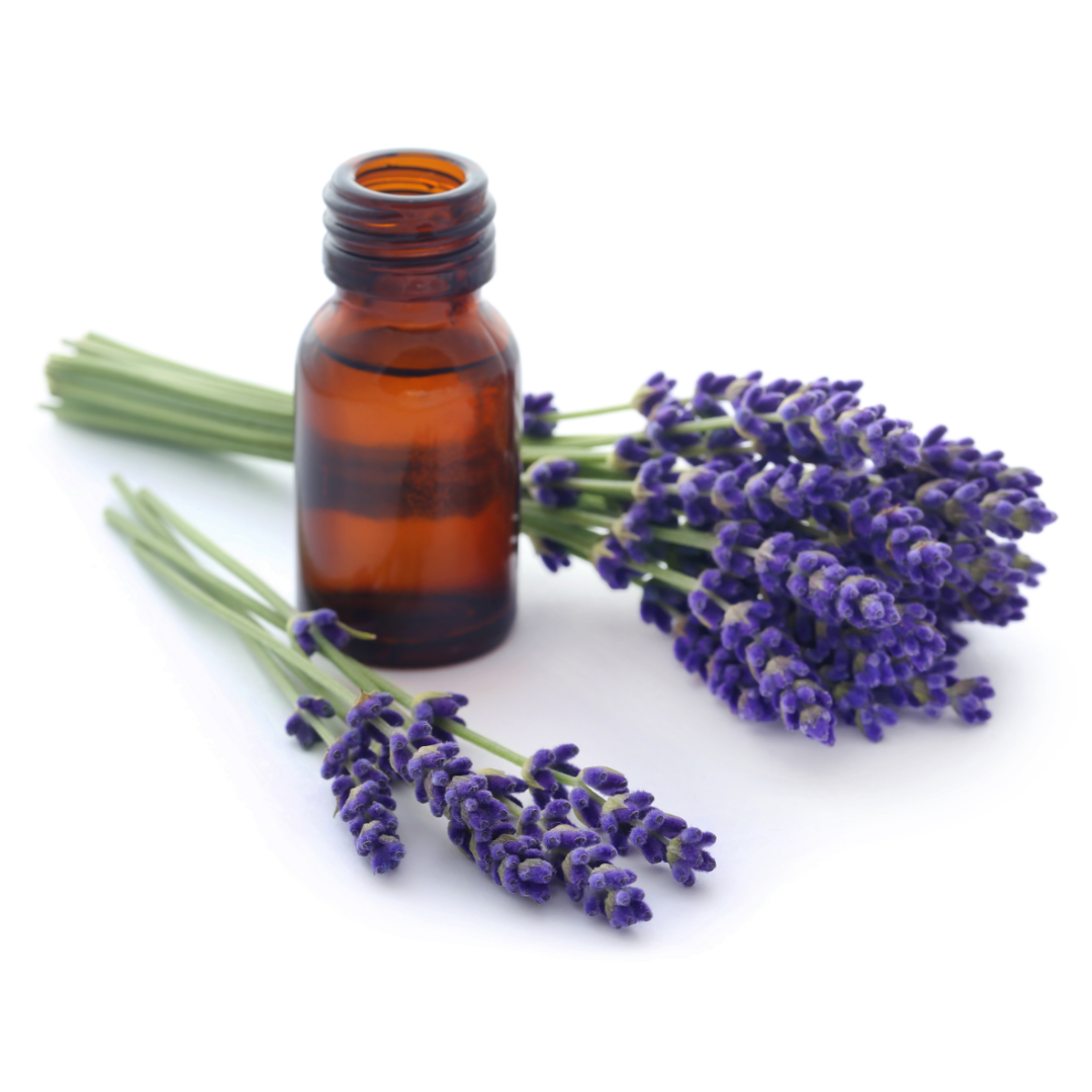 Lavendel etherische olie