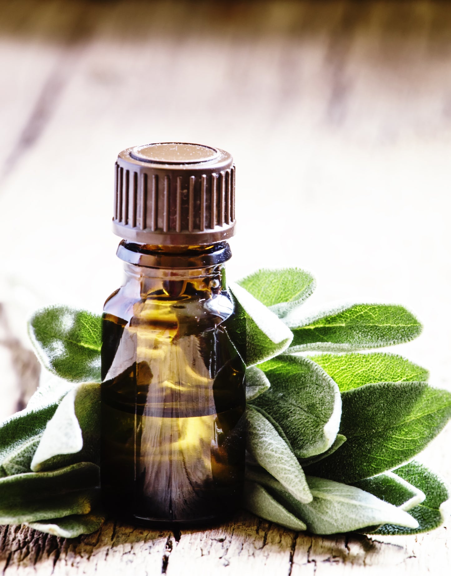 Salie (clary sage) etherische olie