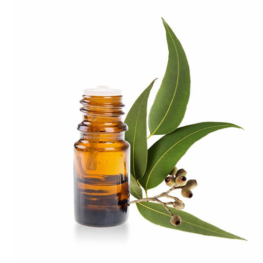 Eucalyptus etherische olie